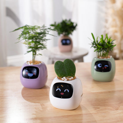 PlantsIO Ivy - Smart Flowerpots, Endless Fun Over 49 rich expressions, 7 smart sensors, and AI chips make raising plants easy and fun Smart Flowerpots, with Artificial Intelligence, Time Temperature Display, and Numerous Expressive Animations