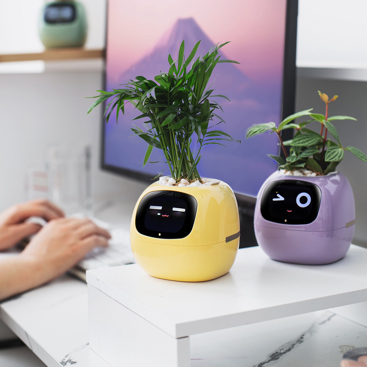 PlantsIO Ivy - Smart Flowerpots, Endless Fun Over 49 rich expressions, 7 smart sensors, and AI chips make raising plants easy and fun Smart Flowerpots, with Artificial Intelligence, Time Temperature Display, and Numerous Expressive Animations