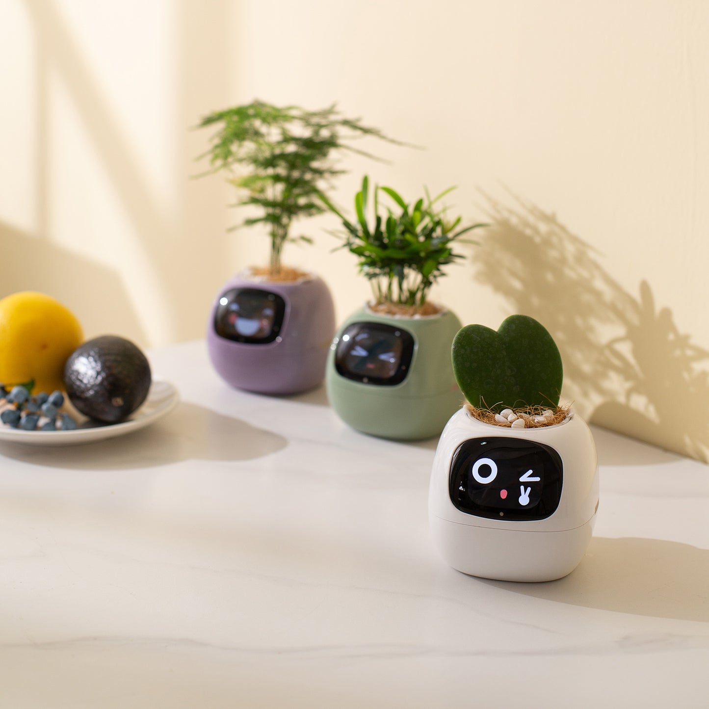 PlantsIO Ivy - Smart Flowerpots, Endless Fun Over 49 rich expressions, 7 smart sensors, and AI chips make raising plants easy and fun Smart Flowerpots, with Artificial Intelligence, Time Temperature Display, and Numerous Expressive Animations